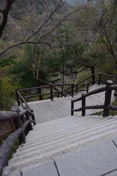棧道