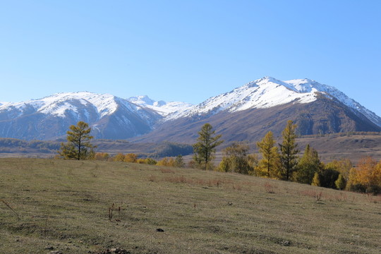 新疆禾木村農(nóng)舍雪山