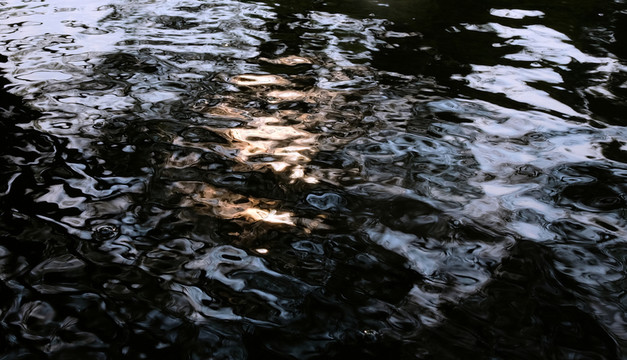 水波紋