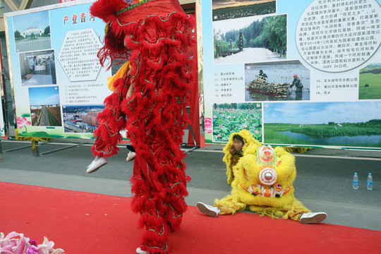 舞獅 表演