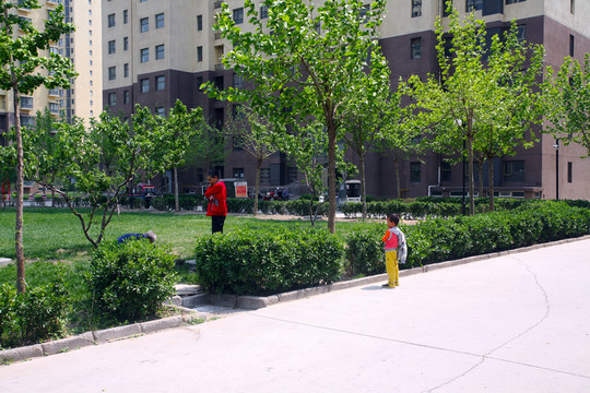 小男孩