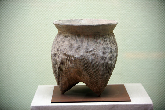 陶器 古董 博物館