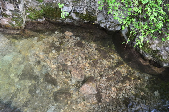 水