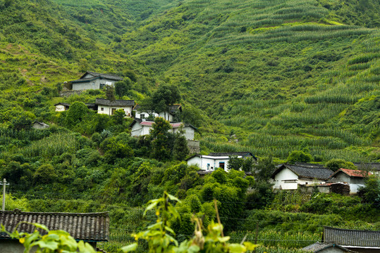 最美鄉(xiāng)村