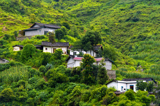 最美鄉(xiāng)村