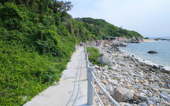 青洲島 棧道 觀景路 小道