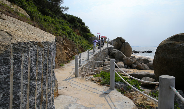 青洲島 棧道