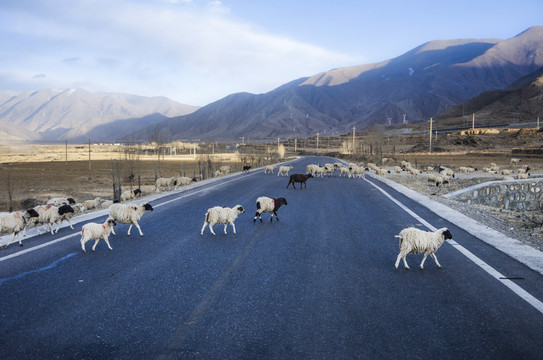 橫穿馬路
