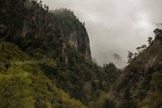 云霧山谷