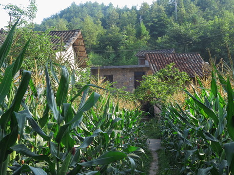 土家族鄉(xiāng)村舍