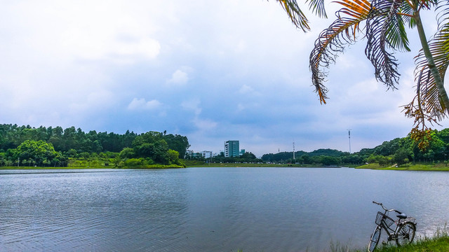 中心湖公園