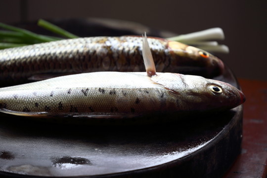 江魚 鱸魚 食材