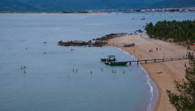 大樹島