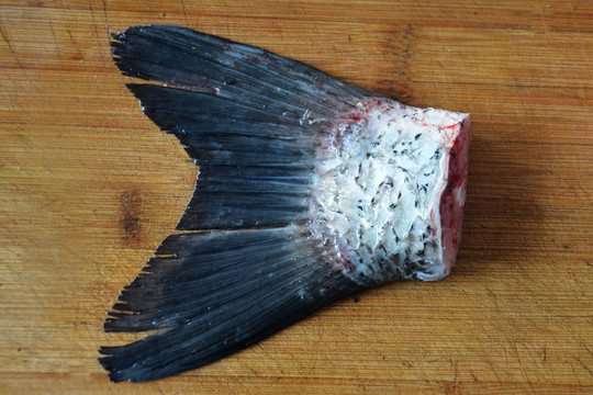 魚(yú)尾