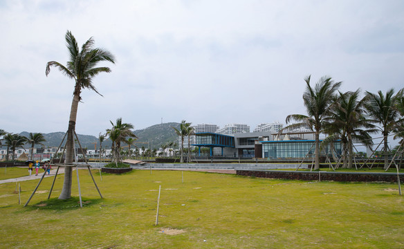 綠化
