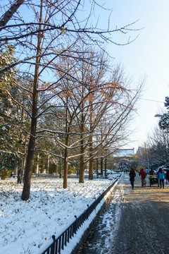 北京大學(xué)辦公樓草坪雪景