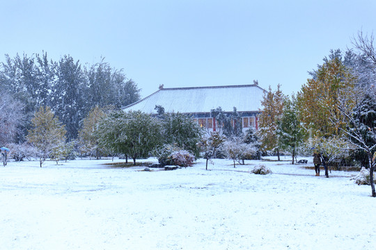 北大第二體育館靜園草坪雪景