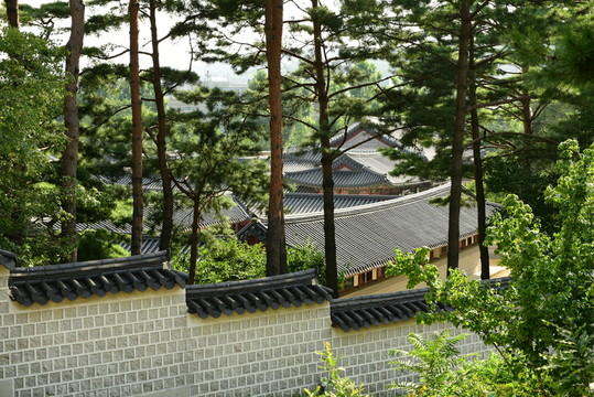 韓國(guó)景福宮 松樹(shù)古建