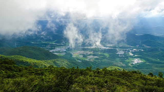 云霧 山脈 田野 田園