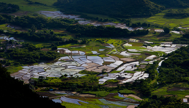 田野 稻田
