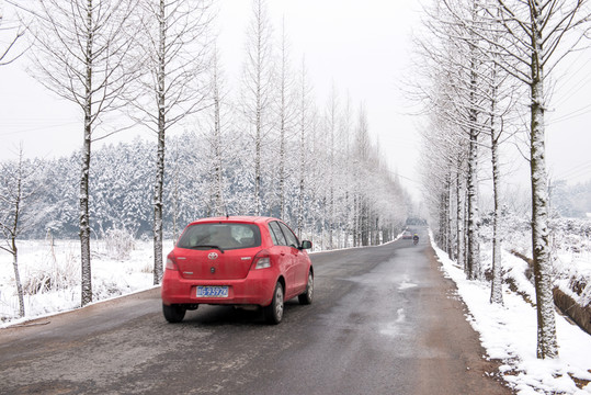 雪后公路