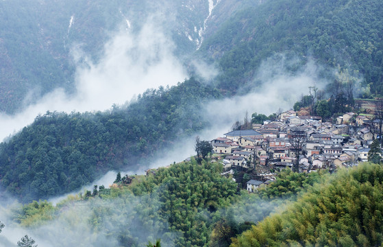 霧涌西坑村