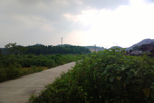 鄉(xiāng)村水泥路