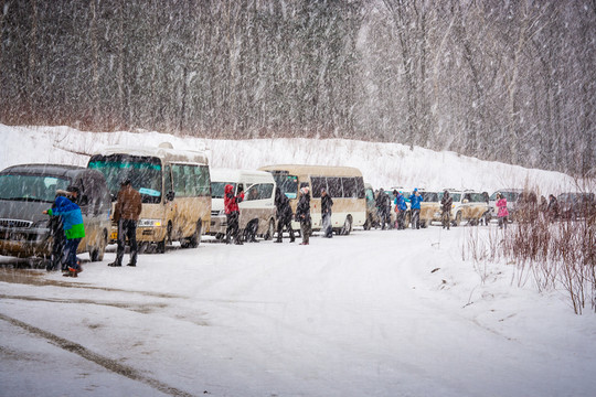 因暴雪而擁堵的車龍