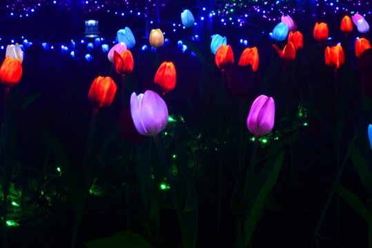 郁金香花燈