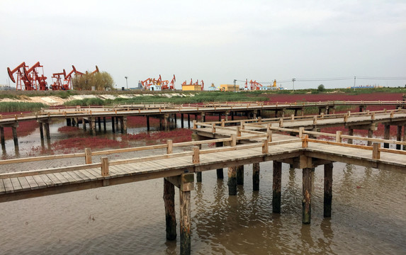 紅海灘  濕地公園