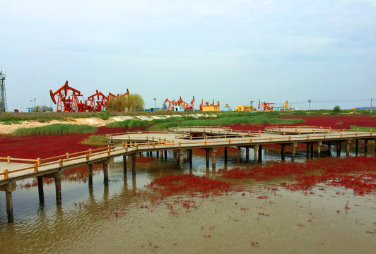 紅海灘  濕地公園