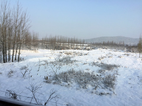 雪地  積雪  雪景