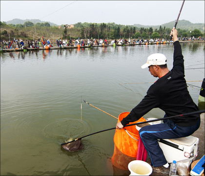 釣魚比賽