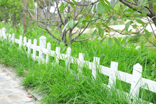 圍欄 木柵欄 園林景觀 公園