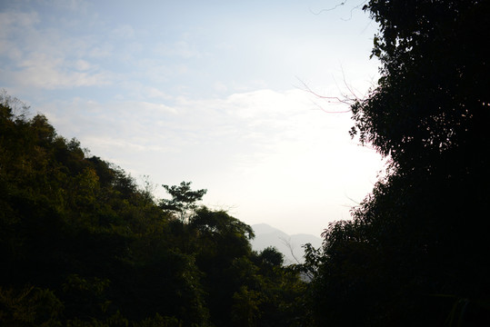 山中