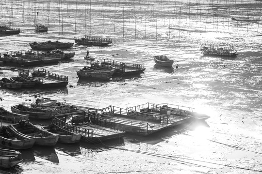 霞浦灘涂