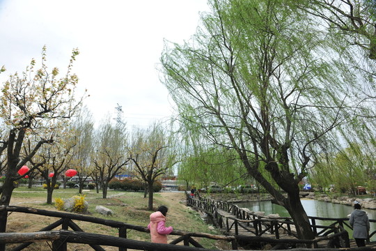 公園風(fēng)景 園林景觀 園林造景