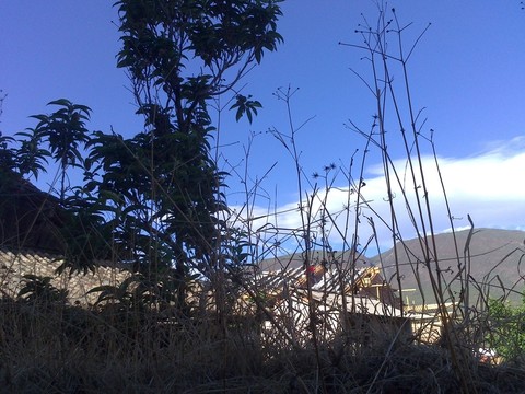 村落