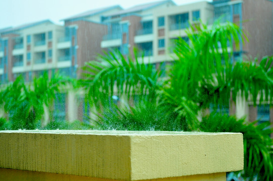 天氣 下雨 雨中倒影 雨絲