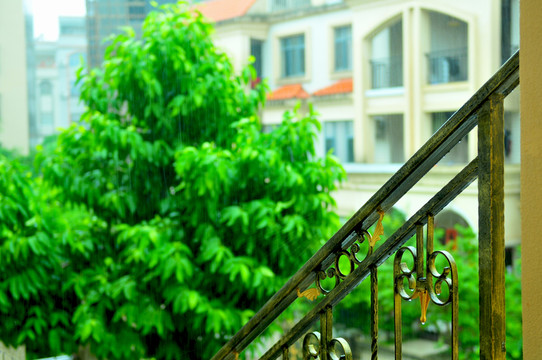 天氣 下雨 雨中倒影 雨絲