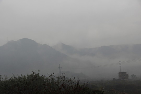 田野風光
