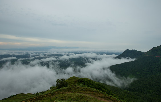 云海 云霧 高山