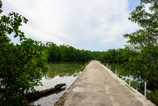 印尼公路