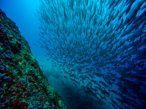 海狼風暴