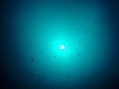 海底世界