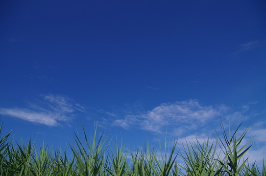 環(huán)境
