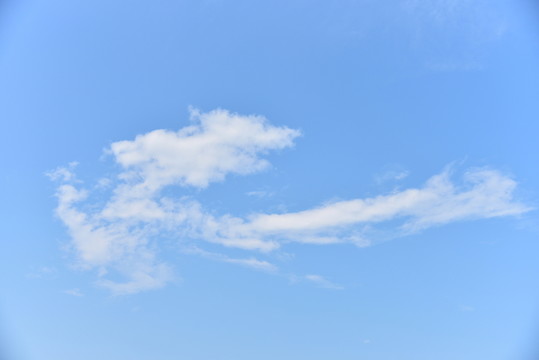 龍騰云