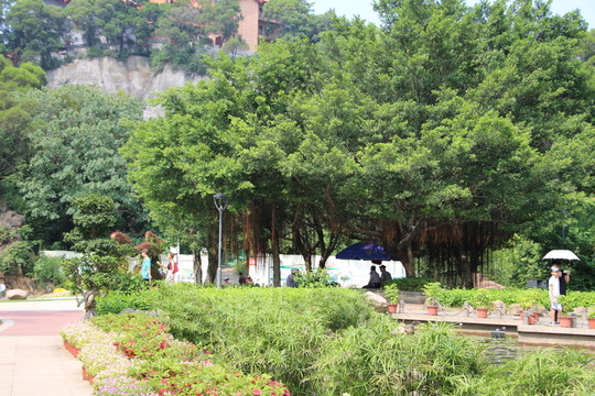 金雞山公園
