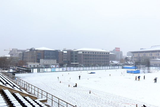北京大學(xué)五四運(yùn)動場雪景