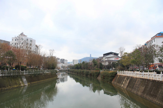 云南省曲靖市河濱路綠化帶